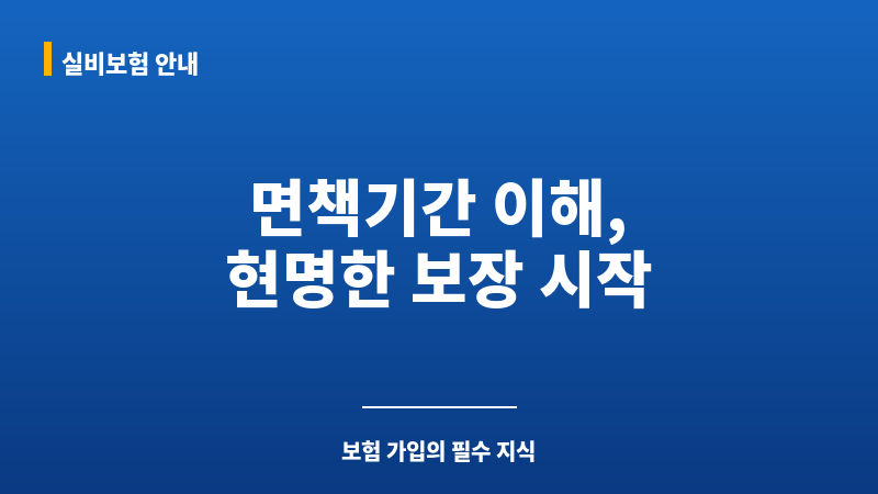 면책기간 보조 이미지 면책기간 보조 이미지
