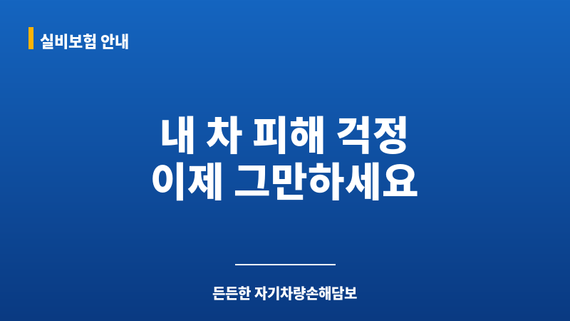 자기차량손해담보 보조 이미지
