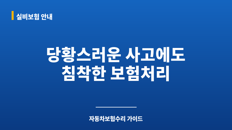 자동차보험수리 보조 이미지