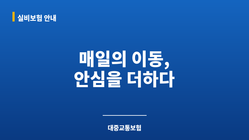 대중교통보험 보조 이미지 대중교통보험 보조 이미지