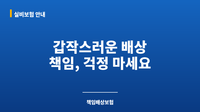 책임배상보험 보조 이미지