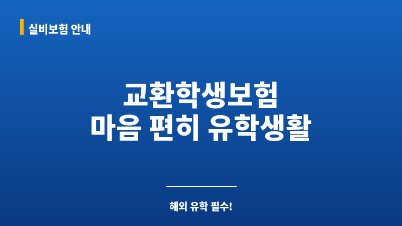 교환학생여행자보험 보조 이미지