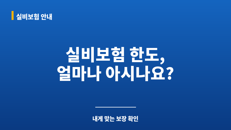 실비보험한도 보조 이미지