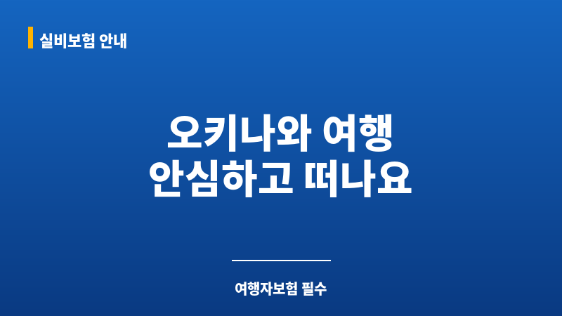 오키나와여행자보험 보조 이미지 오키나와여행자보험 보조 이미지