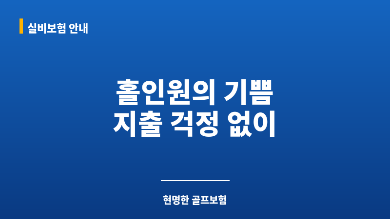 골프홀인원보험 보조 이미지