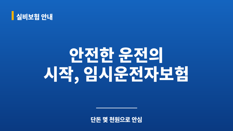임시운전자보험 보조 이미지