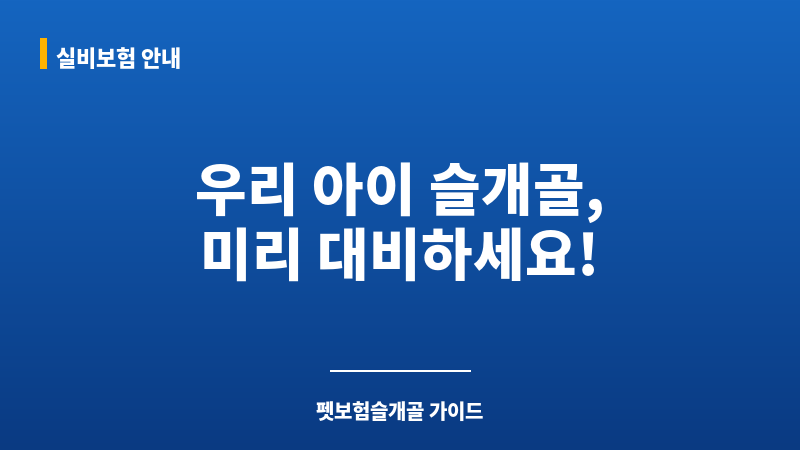 펫보험슬개골 보조 이미지