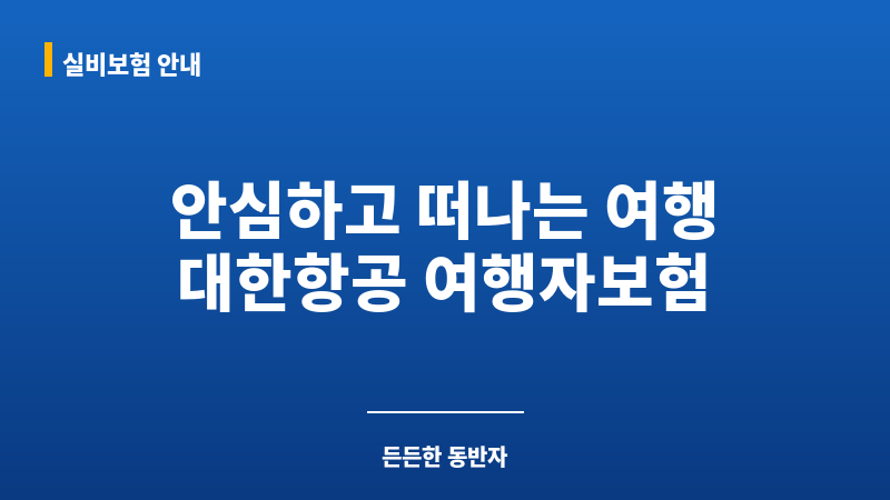 대한항공여행자보험 보조 이미지