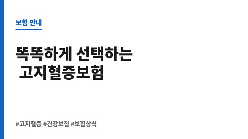 고지혈증진단비 보조 이미지
