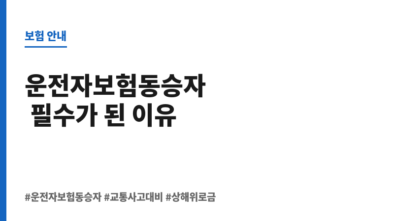운전자보험동승자 보조 이미지