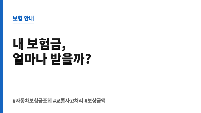 자동차보험금조회 보조 이미지