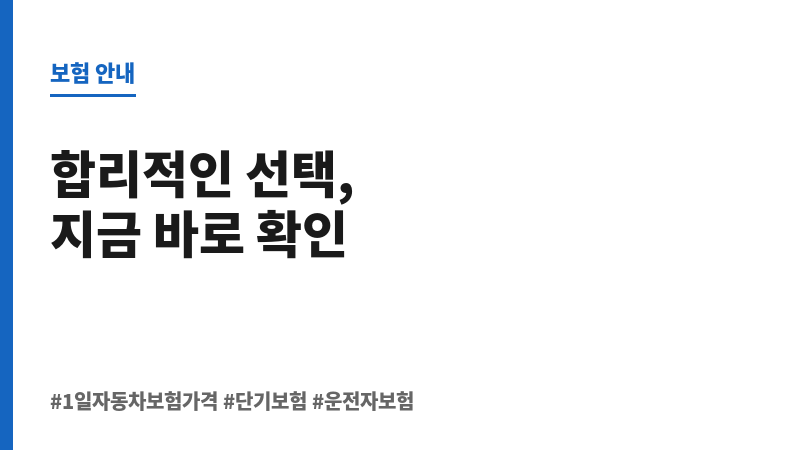 1일자동차보험가격 보조 이미지