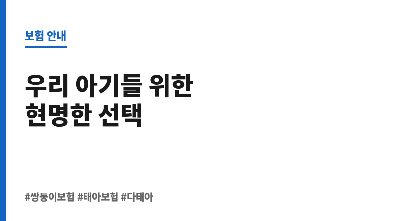 쌍둥이보험 보조 이미지 쌍둥이보험 보조 이미지