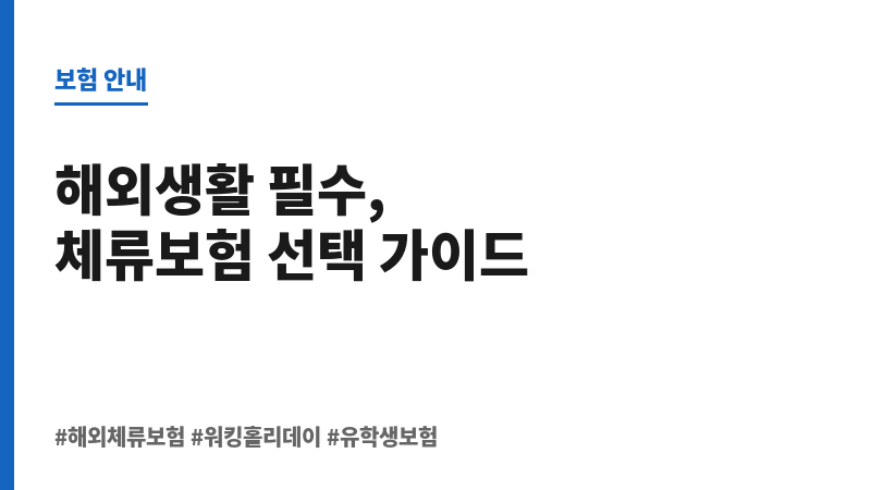해외체류보험 보조 이미지 해외체류보험 보조 이미지