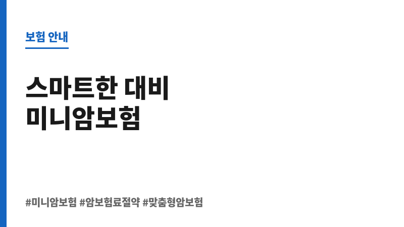 미니암보험 보조 이미지