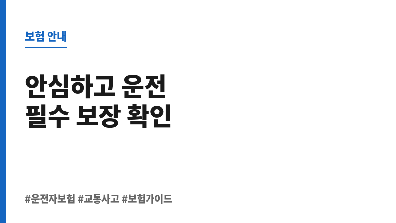 한문철운전자보험가입 보조 이미지 한문철운전자보험가입 보조 이미지
