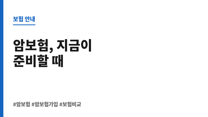 암보험가입순위 보조 이미지