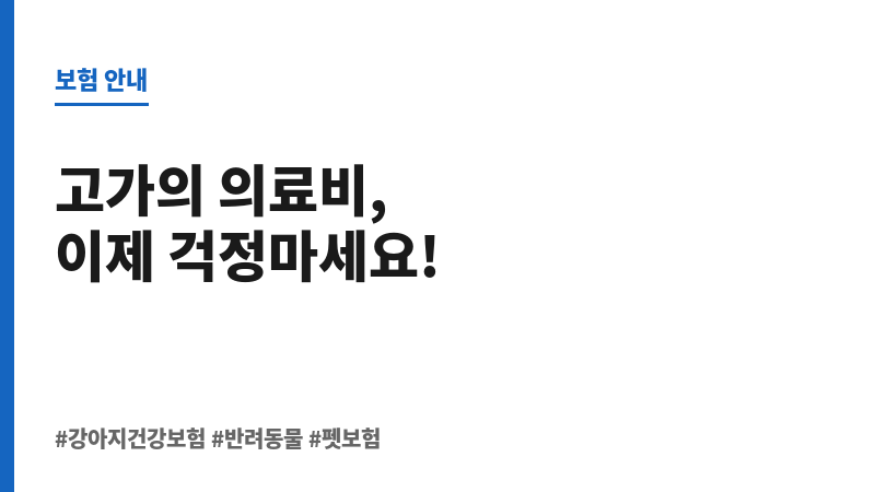 강아지건강보험 보조 이미지