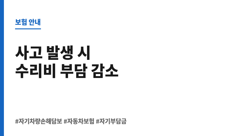 자기차량손해담보 보조 이미지