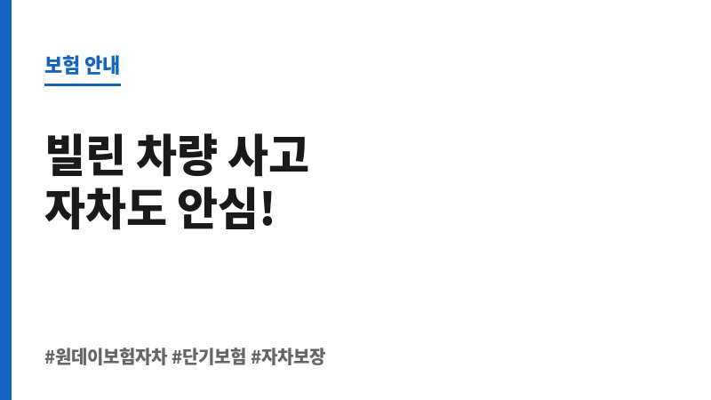 원데이보험자차 보조 이미지 원데이보험자차 보조 이미지