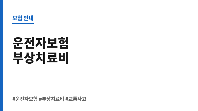 운전자보험부상치료비 보조 이미지