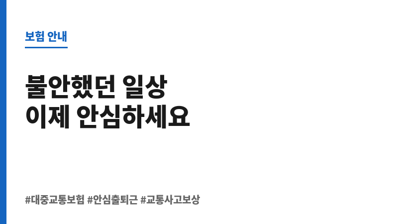 대중교통보험 보조 이미지 대중교통보험 보조 이미지
