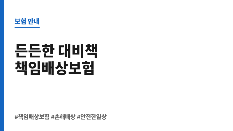 책임배상보험 보조 이미지