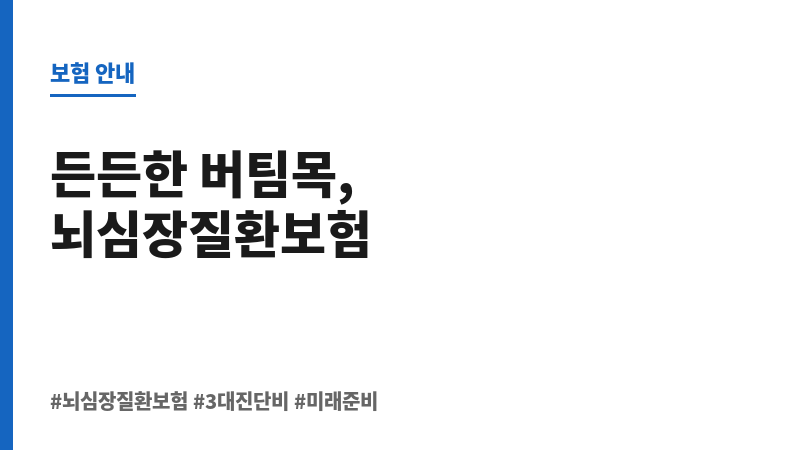 뇌심장질환보험 보조 이미지