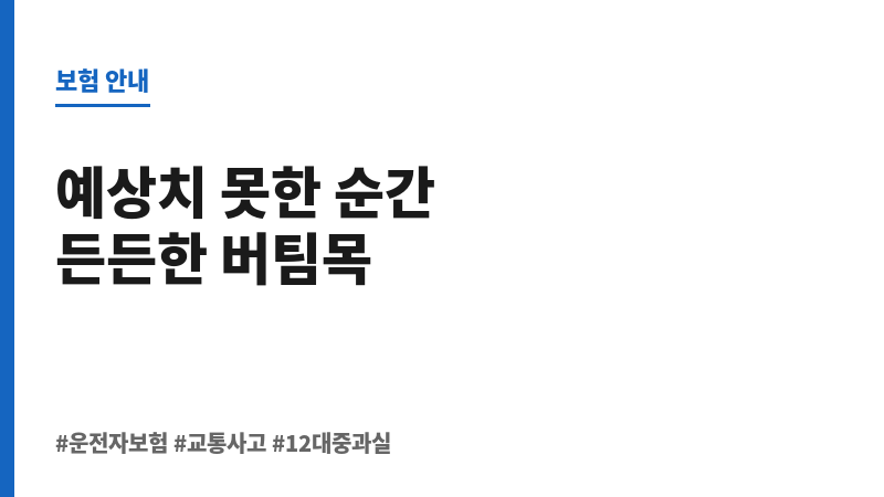 12대중과실운전자보험 보조 이미지