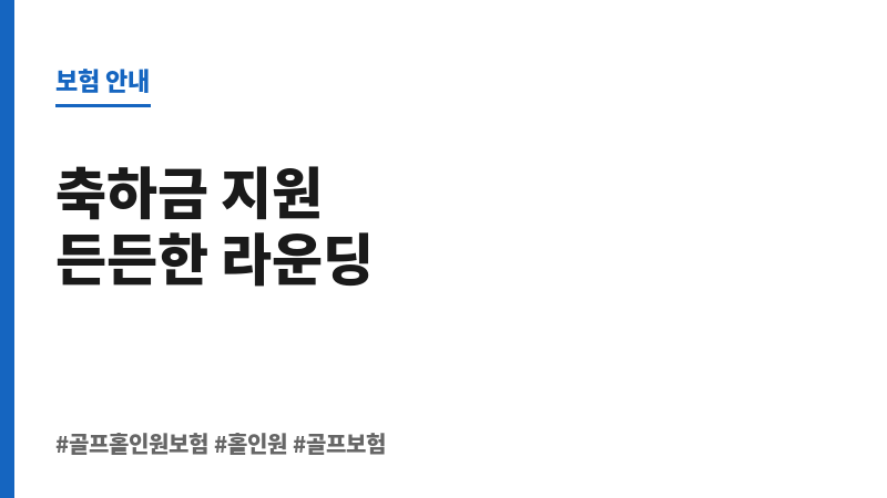 골프홀인원보험 보조 이미지
