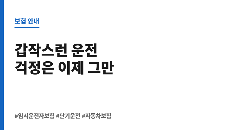 임시운전자보험 보조 이미지