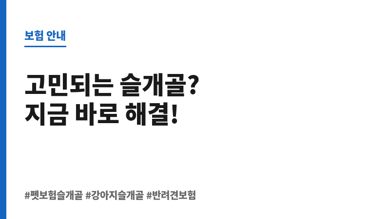 펫보험슬개골 보조 이미지
