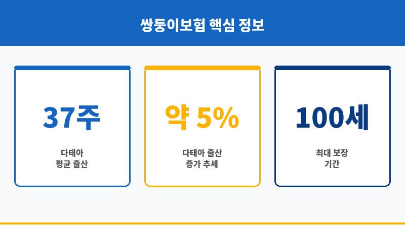 쌍둥이보험 보조 이미지 쌍둥이보험 보조 이미지