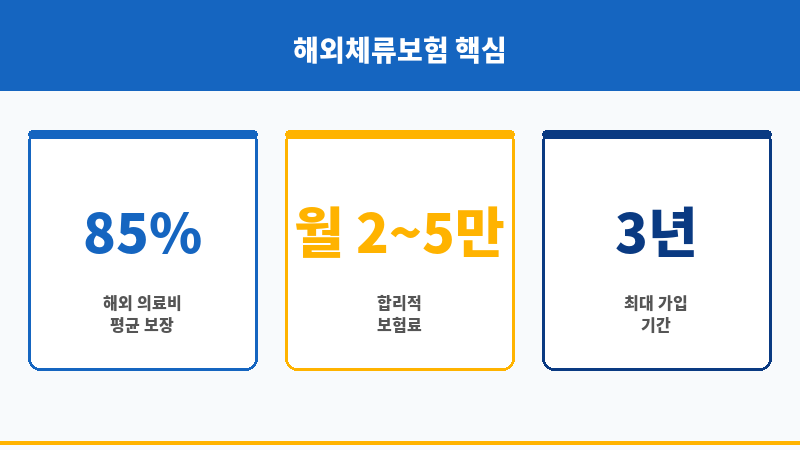 해외체류보험 보조 이미지 해외체류보험 보조 이미지