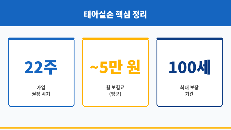 태아실손 보조 이미지