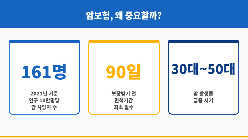 암보험가입순위 보조 이미지