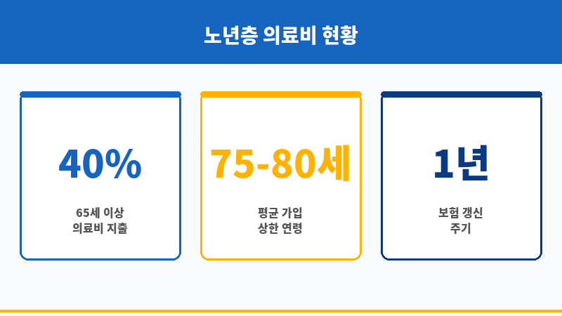 노후실손의료비보험 보조 이미지