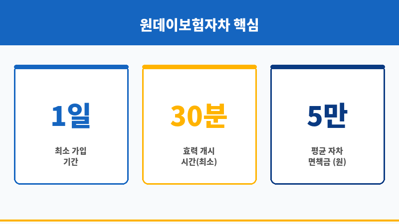 원데이보험자차 보조 이미지 원데이보험자차 보조 이미지