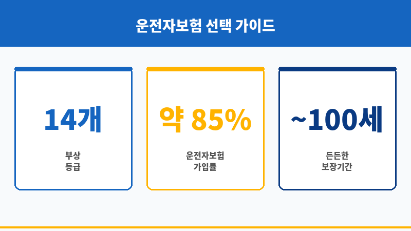 운전자보험부상치료비 보조 이미지