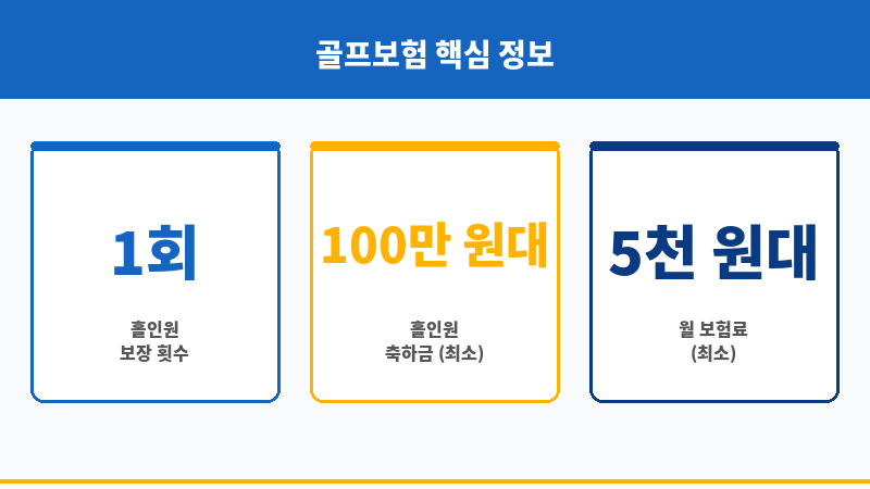 골프홀인원보험 보조 이미지