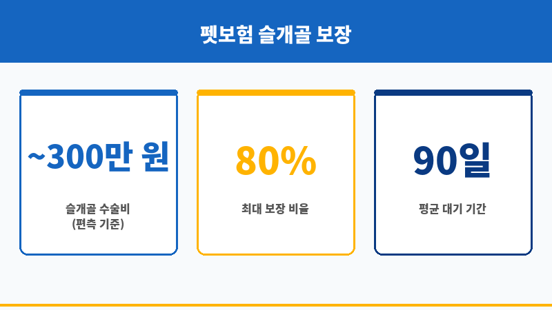 펫보험슬개골 보조 이미지
