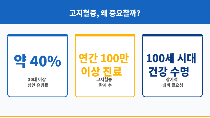 고지혈증진단비 보조 이미지