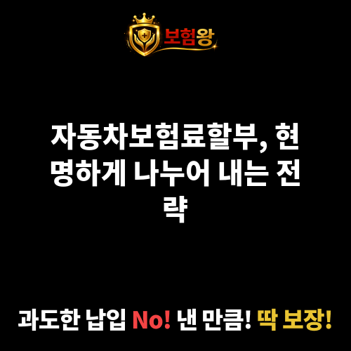 자동차보험료할부