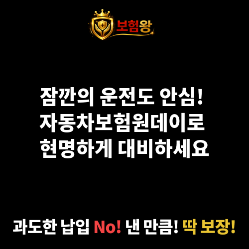 자동차보험원데이