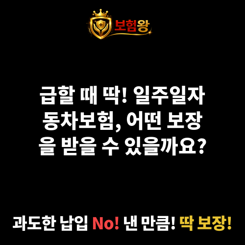 일주일자동차보험