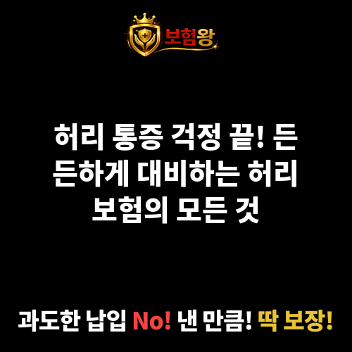 허리보험