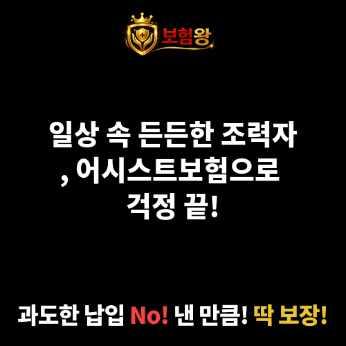 어시스트보험
