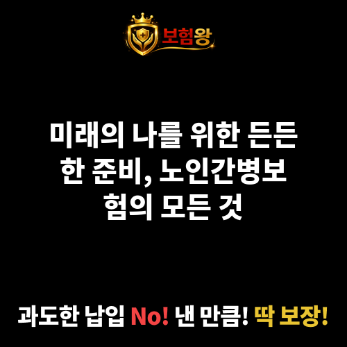 노인간병보험