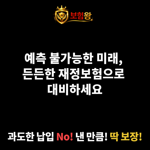재정보험