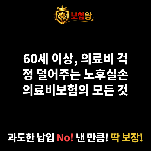 노후실손의료비보험